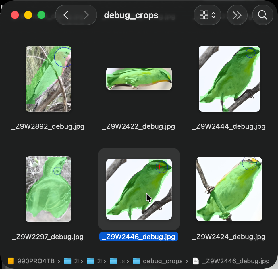 Debug 图片