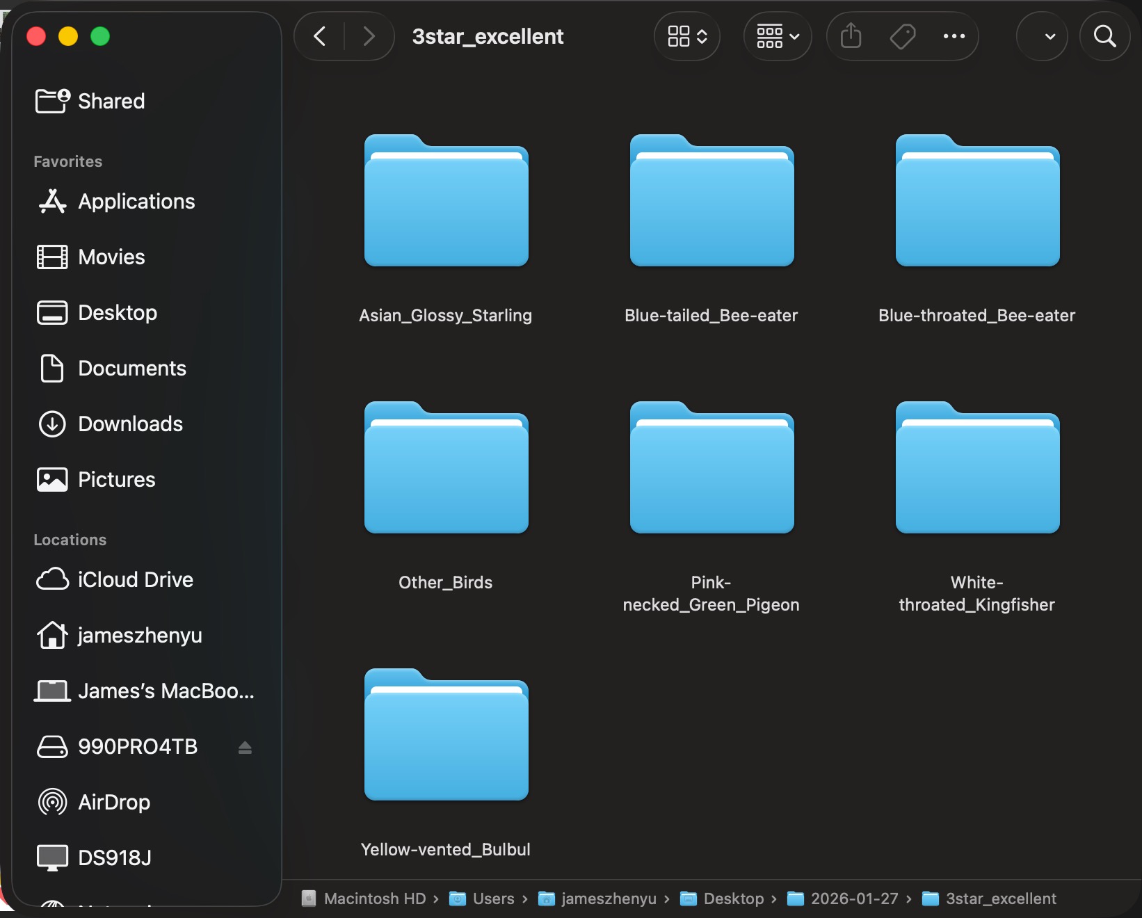 Bird Identification Panel